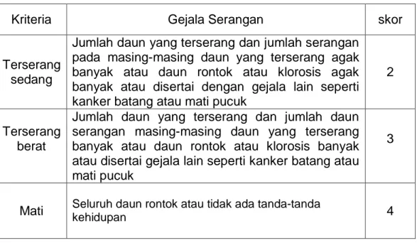 Tabel 2. Tally Sheet Pengamatan pada semai Shorea leprosula Miq di Lapangan.  