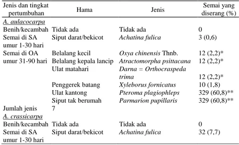 Tabel 3. Jenis hama yang dijumpai pada masing-masing jenis Acacia dengan  umur yang berbeda di persemaian PT