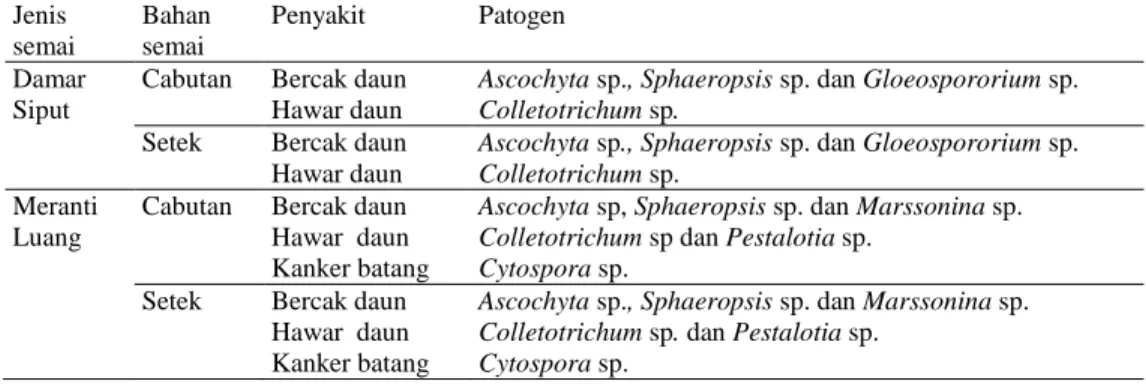 Tabel 4. Penyakit yang Disebabkan oleh Jamur di Persemaian PT Inhutani I Long Nah  Jenis  semai  Bahan semai  Penyakit  Patogen  Damar  Siput 