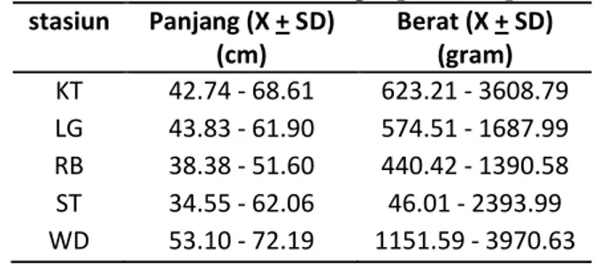 Tabel 5. Distribusi ukuran tangkapan setiap stasiun stasiun Panjang (X + SD) (cm) Berat (X + SD)(gram) KT 42.74 - 68.61 623.21 - 3608.79 LG 43.83 - 61.90 574.51 - 1687.99 RB 38.38 - 51.60 440.42 - 1390.58 ST 34.55 - 62.06 46.01 - 2393.99 WD 53.10 - 72.19 1