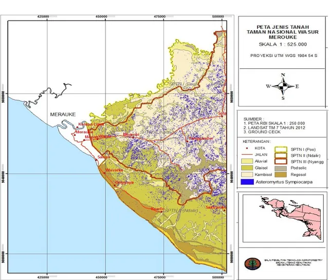 Gambar 4. Peta sebaran jenis Asteromyrtus symphyocarpa pada TN Wasur    Figure 4. Map of distribution type of A