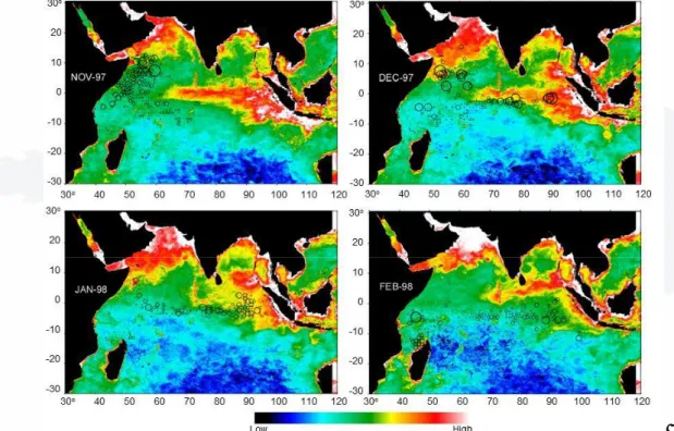 Gambar 9.  Distribusi konsnetrasi klorofil-a dan lokasi penangkapan tuna mata besar di  Samudra Hindia 
