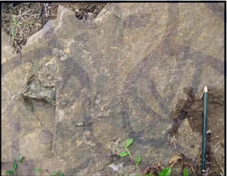 Foto 3.6. Foto singkapan granit di Desa Datarmasiang 