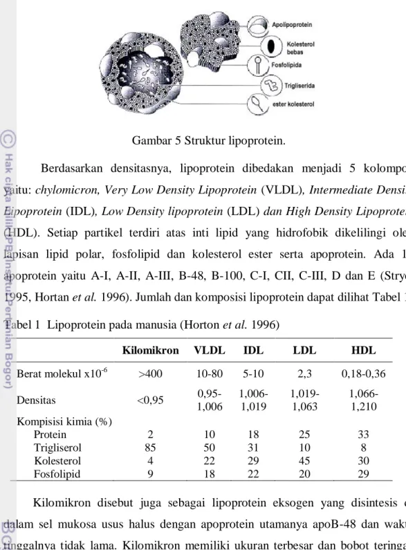 Tabel 1  Lipoprotein pada manusia (Horton et al. 1996) 