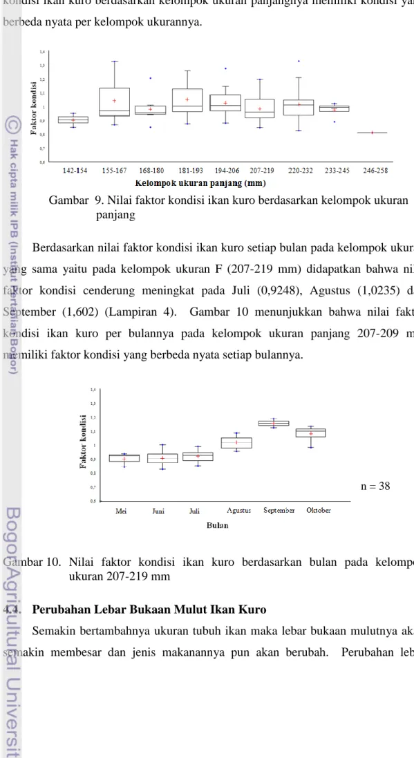 Gambar  9. Nilai faktor kondisi ikan kuro berdasarkan kelompok ukuran             panjang 