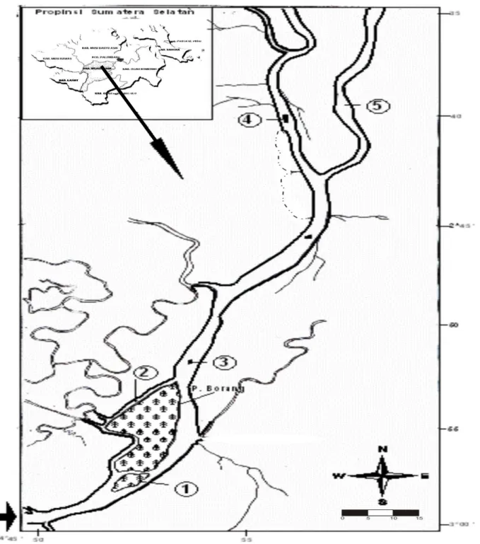 Gambar 1.  Peta lokasi penelitian di Sungai Musi, Sumatra Selatan.  1 = Pulau Banjar, 2 = Sungai Borang,   3 = Pulau Burung, 4 = Pulau Gundul, 5 = Sungai Upang 