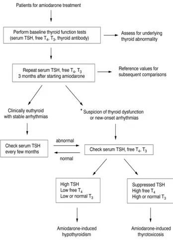 Gambar  6. Algoritme  monitor  fungsi  tiroid  pada pasien yang diberi amiodaron. 5