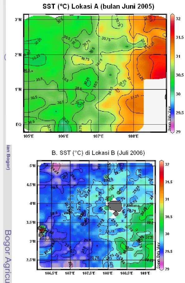 Gambar 62. Distribusi rata-rata bulanan suhu permukaan laut (SST) di lokasi  penelitian berdasarkan data MODIS dengan resolusi 9 km