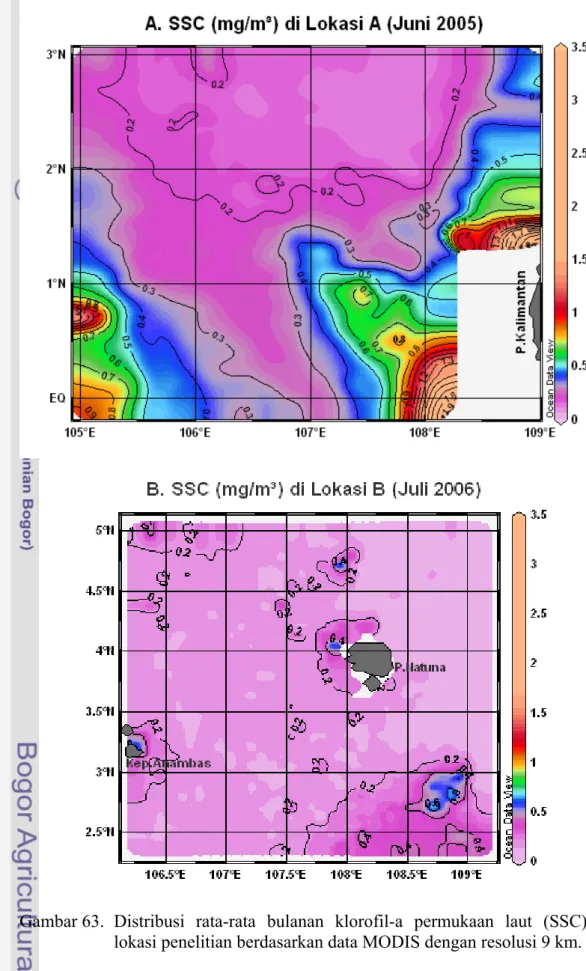 Gambar 63.  Distribusi  rata-rata  bulanan klorofil-a permukaan laut (SSC) di  lokasi penelitian berdasarkan data MODIS dengan resolusi 9 km