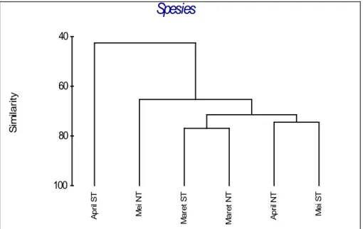 Gambar 2.  Dendogram pengelompokkan  ikan berdasarkan kesamaan spesies  secara  temporal ( Keterangan : ST = Spring Tide, NT = Neap Tide)