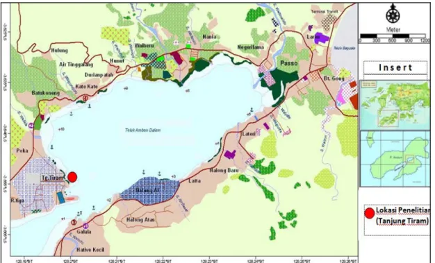 Gambar  1. Peta lokasi penelitian di perairan pantai Tanjung Tiram-TAD yang terletak  pada  inlet  antara  Teluk Ambon Dalam  (TAD) dan Teluk Ambon Luar  (TAL).