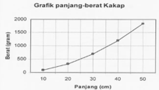 Grafik 16. Perkiraan trend berat – panjang ikan kakap 