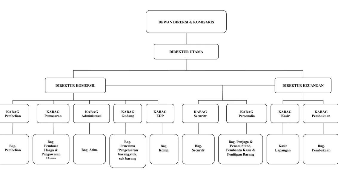 Gambar II.10 Struktur Organisasi  Sumber : PT. Metro Makmur Nusantara 