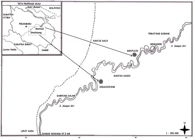 Gambar 1. Lokasi penelitian di rawa banjiran Sungai Kampar Kiri 