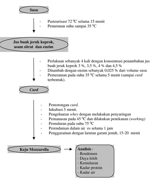 Gambar 1.  Diagram  Alir  Percobaan  Keju  Mozzarella  Menurut  Carroll  (2002)  yang  Dimodifikasi 