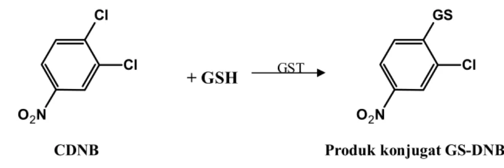 Gambar 7. Reaksi Konjugasi GSH dengan substrat DCNB