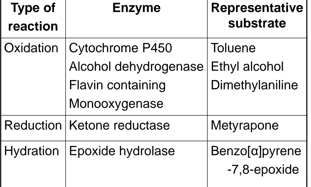 Tabel 2. Xenobiotic Metabolizing Enzymes  Type of  reaction  Enzyme  Representative substrate  Oxidation  Cytochrome P450  Alcohol dehydrogenase  Flavin containing  Monooxygenase  Toluene  Ethyl alcohol  Dimethylaniline 
