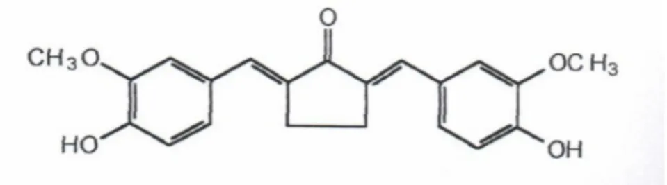 Gambar 1. Struktur kimia 2,5-bis-(4-hidroksi-3-metoksi benzilidin) siklopentanon  METODOLOGI 