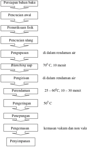 Gambar 6. Proses produksi tepung ubi jalar (Modifikasi Suismono 1995) 
