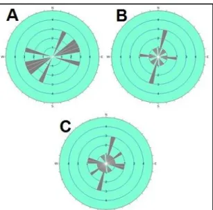 Gambar 4.5 Diagram rosette arah Tegasan Utama σ1 (A: Compressive, B: Strike-Slip, dan C: 