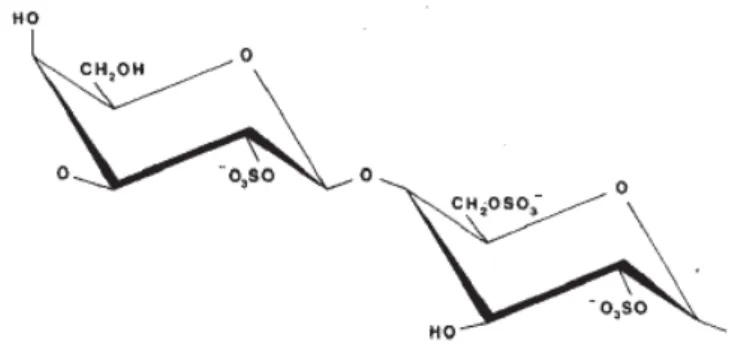 Gambar 2.1 Struktur lambda karagenan (D-galaktosa-2-sulfat D- galaktosa          2,6-disulfat) 
