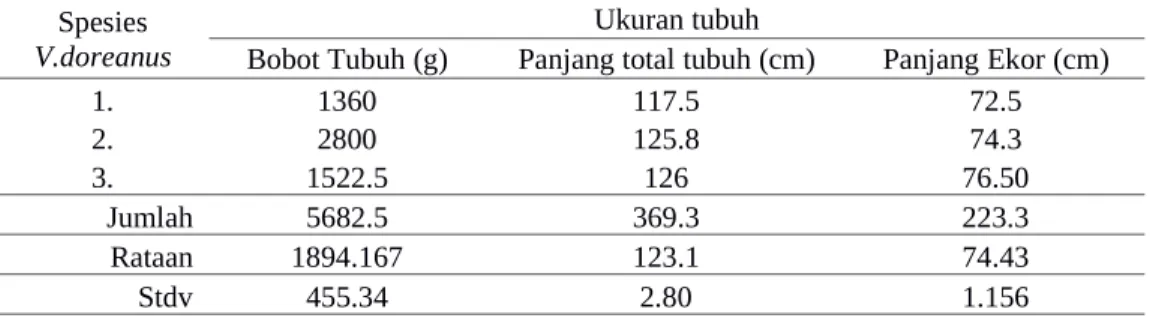 Tabel 1.Ukuran tubuh biawak di Pulau Mansinam.