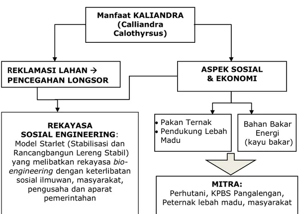 Gambar 1.  Bagan pelaksanaan multidisiplin ilmu dalam pemanfaatan                   Kaliandra (Caliandra calothyrsus) dalam bio-engineering 