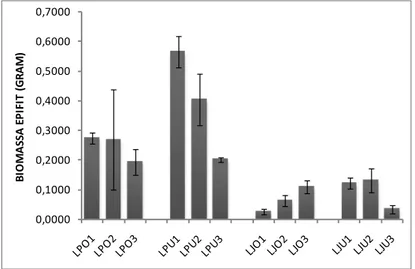 Gambar 4.  Biomassa epifit (mean±SE, n=3) pada setiap stasiun pengamatan 