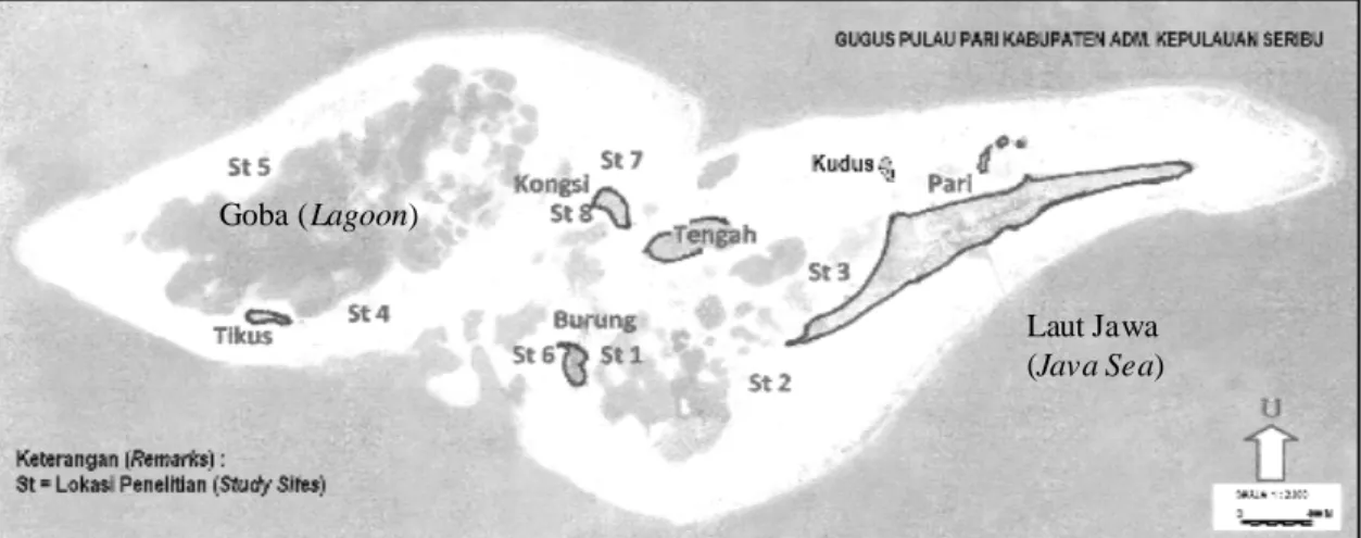 Gambar 1. Peta Gugusan Pulau Pari dan 8 stasiun sampling pada habitat lamun Figure 1. Map of Pari Islands with 8 sampling stations at seagrass habitat