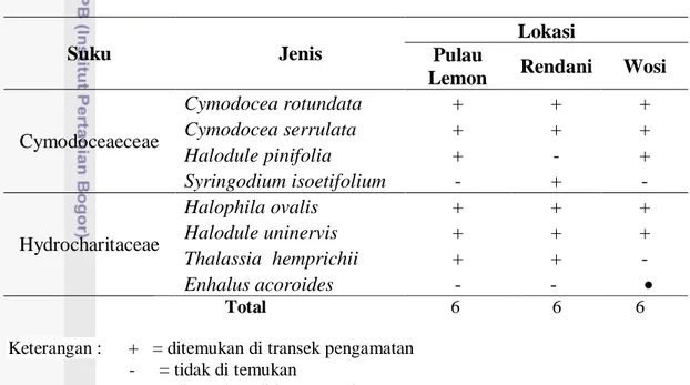 Tabel 6   Jenis dan sebaran jenis lamun pada lokasi penelitian 