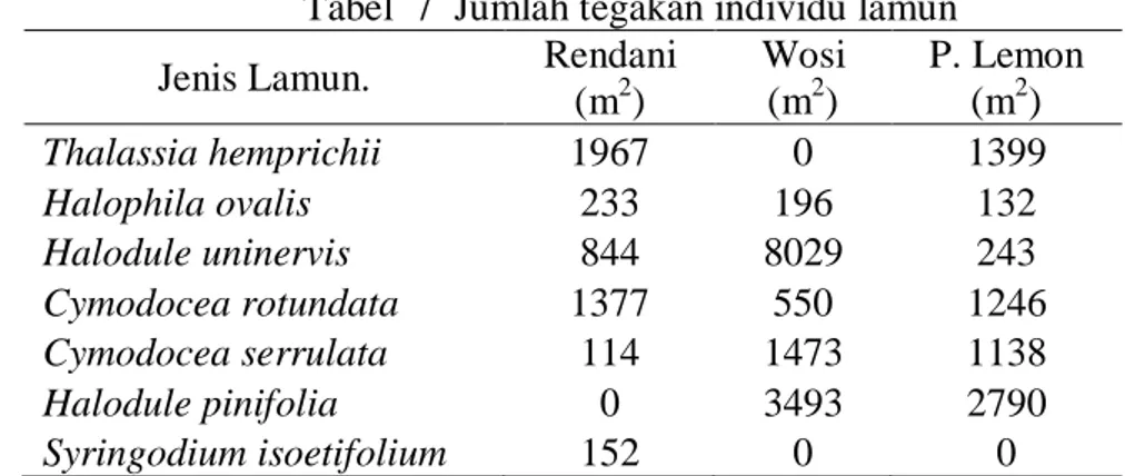 Tabel  7  Jumlah tegakan individu lamun  Jenis Lamun.   Rendani 
