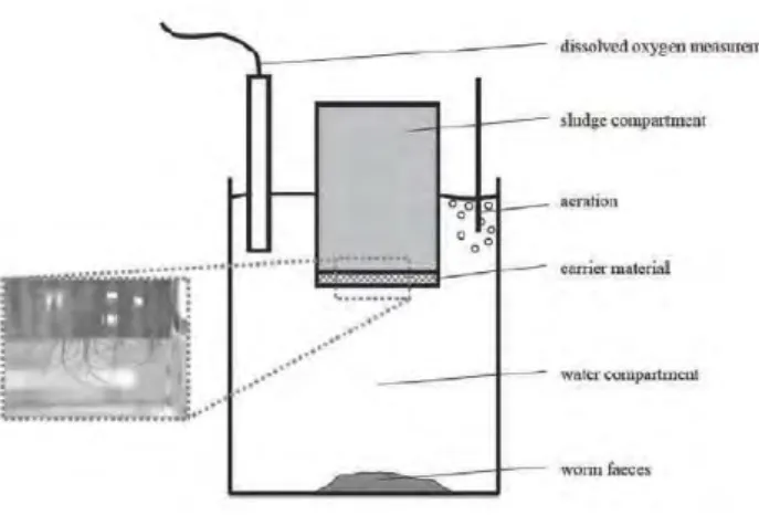 Gambar 2.5 Reaktor Cacing Akuatik 