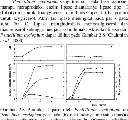 Gambar 2.8 Produksi Lipase oleh Penicillium cyclopium.   (a)  Penicillium  cyclopium  pada ada (b) tidak adanya minyak zaitun( ■)  Aktivitas trib utyrin  (□)  aktivitas  dicaprylin  (●)massa  miselium  (Chahinian et al., 2000)