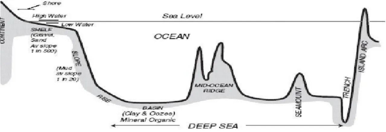 Gambar 1. Bentuk-bentuk relief dasar laut. 