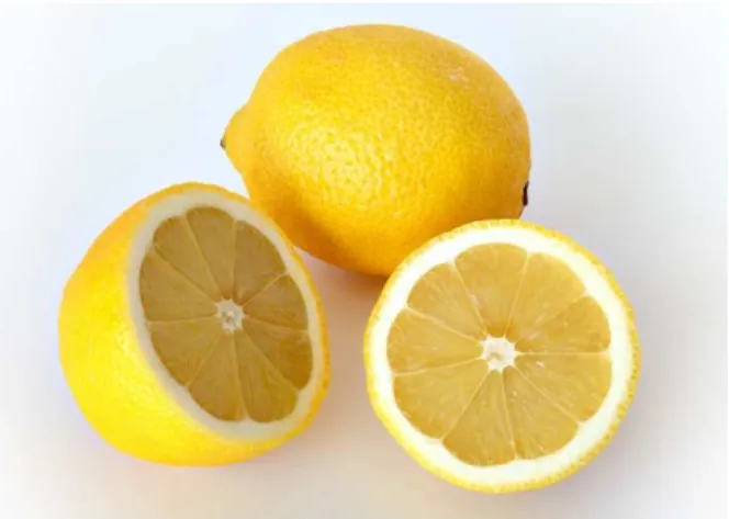 Gambar 2.5 Lemon 