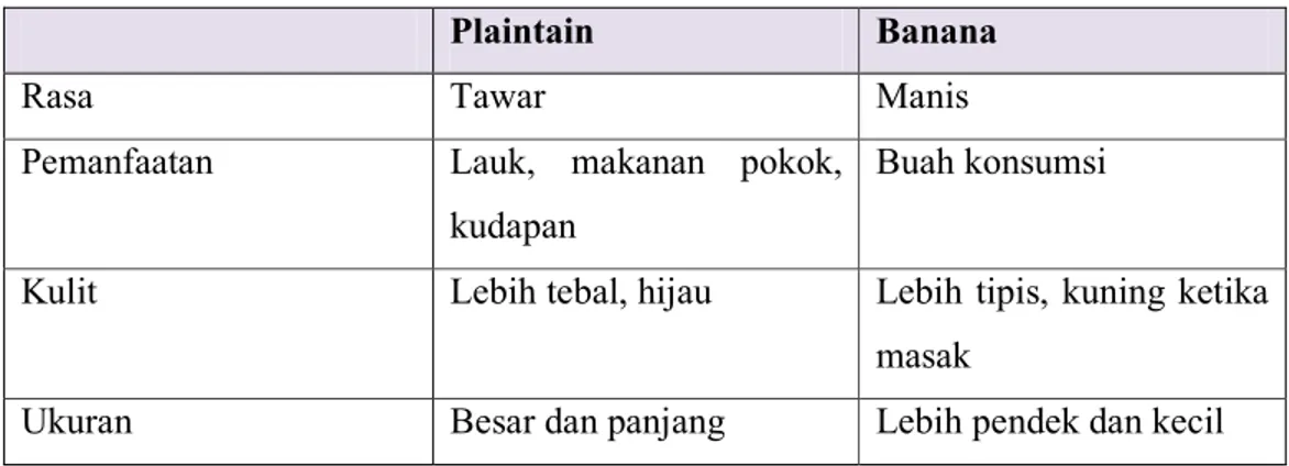 Tabel 2.2 – Perbedaan Plaintain dan Banana 