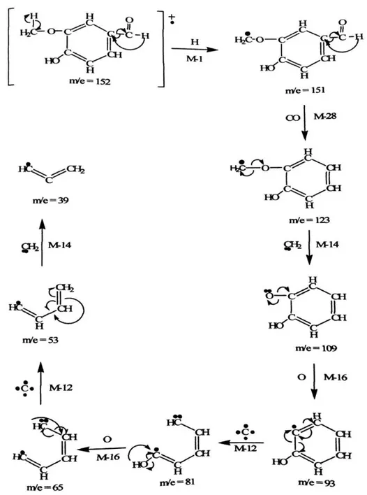Gambar 4. Pola fragmentasi dari senyawa 4-hidroksi-3-metoksi benzaldehida  (vanillin) 