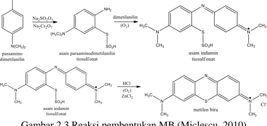 Gambar 2.3 Reaksi pembentukan MB (Miclescu, 2010)  Secara farmakokinetik MB memiliki volume distribusi dalam  tubuh  sebesar  20mg/kg