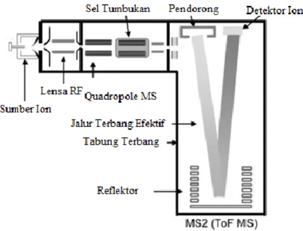 Gambar 2.7 Skema alat TOF MS (Lacorte, 2006) 