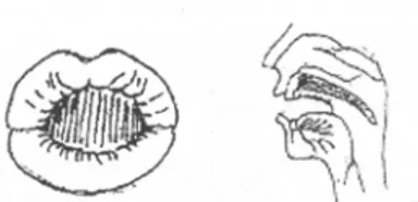 Gambar 2.6. Bentuk mulut untuk artikulasi “o” 