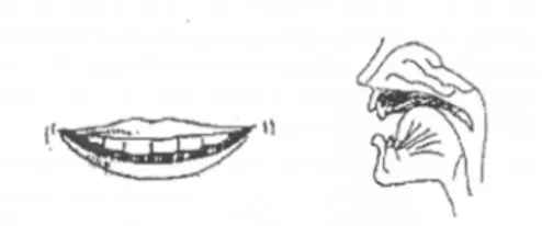 Gambar 2.9. Bentuk mulut untuk artikulasi “e” 