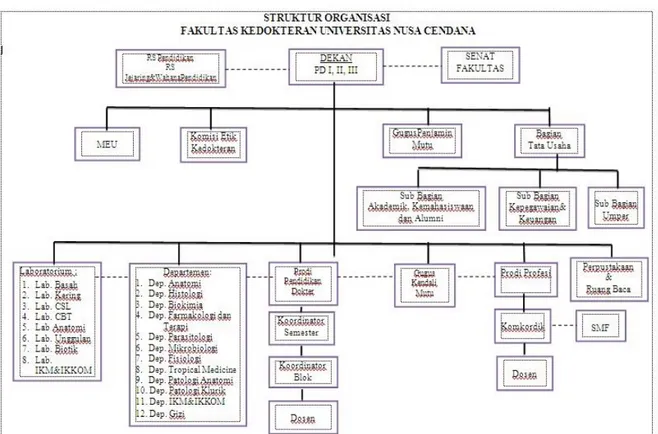 Gambar B.1.1 Struktur organisasi FK UNDANA 