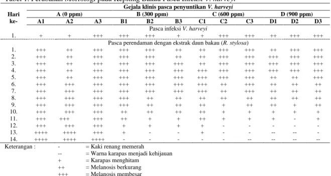 Tabel 1. Perubahan Morfologi pada Kepiting Bakau Pasca Infeksi V. harveyi 