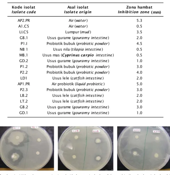 Gambar 4. Uji hambat secara in vitro dari beberapa isolat kandidat probiotik terhadap A