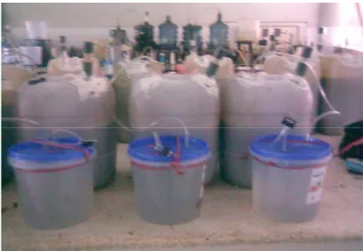 Gambar 2  Rangkaian bioreaktor anaerob sistem batch yang digunakan  untuk produksi biogas 