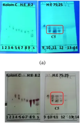 Gambar 2.     Kromatogram KLT hasil pemisahan  fraksi C dengan perbandingan  eluen n-heksana : etil asetat (8:2, 7,5:2,5) di bawah  lampu UV λ 256    nm (a) disemprot serium sulfat (b)