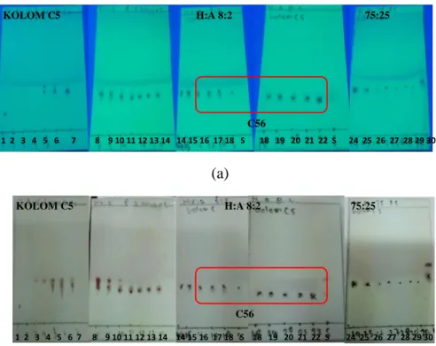 Gambar  3.  Kromatogram  KLT  fraksi  C5  di  bawah  lampu  UV  λ  256  nm  (a)  disemprot serium sulfat (b) 