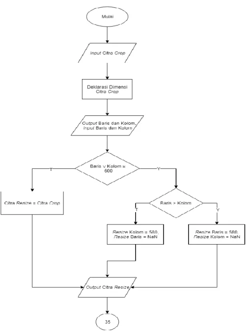 Gambar 4.3 Diagram alur proses Resize citra 