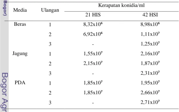 Tabel 1  Kerapatan konidia L. lecanii umur biakan 21 dan 42 hari setelah inkubasi  