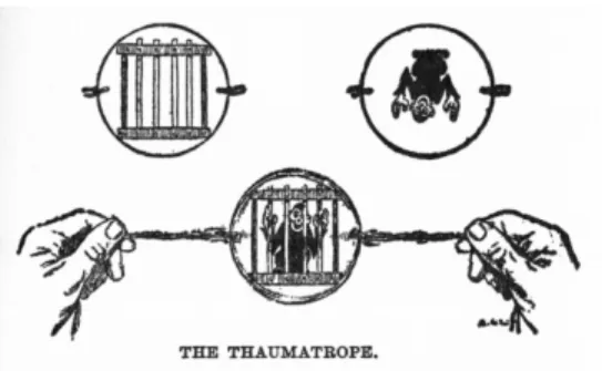 Gambar 2.0  Thaumatrope 
